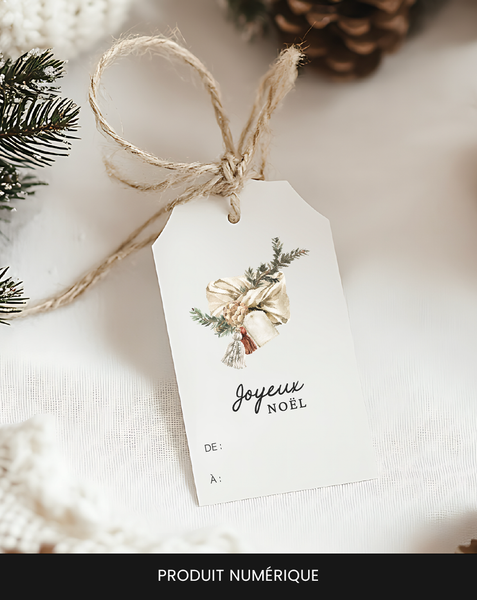 Set of 12 printable Christmas gift tags